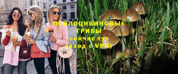 амф Бронницы