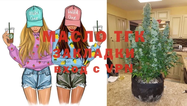 амф Бронницы