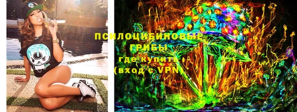 амф Бронницы